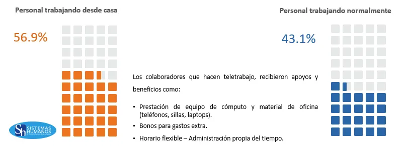 Trabajo-desde-casa