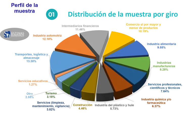 distribucion-de-la-muestra-por-giro
